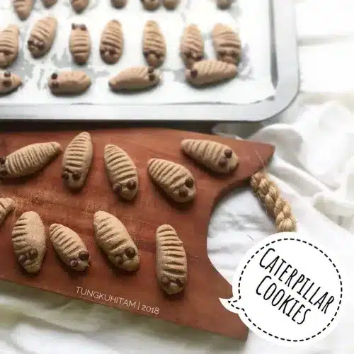 gambar caterpillar cookies - kue dari tepung maizena