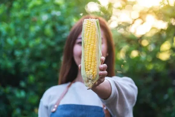 memutihkan wajah dengan tepung jagung